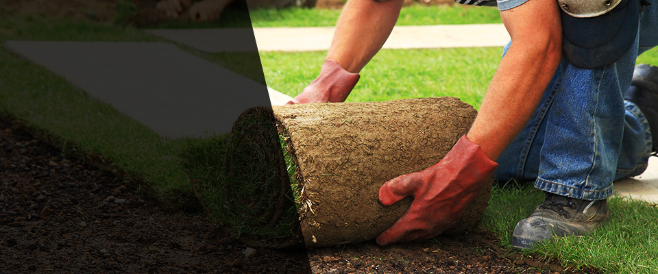 Prior Lake Landscapers
